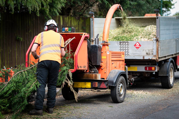  Anadarko, OK Tree Service Pros